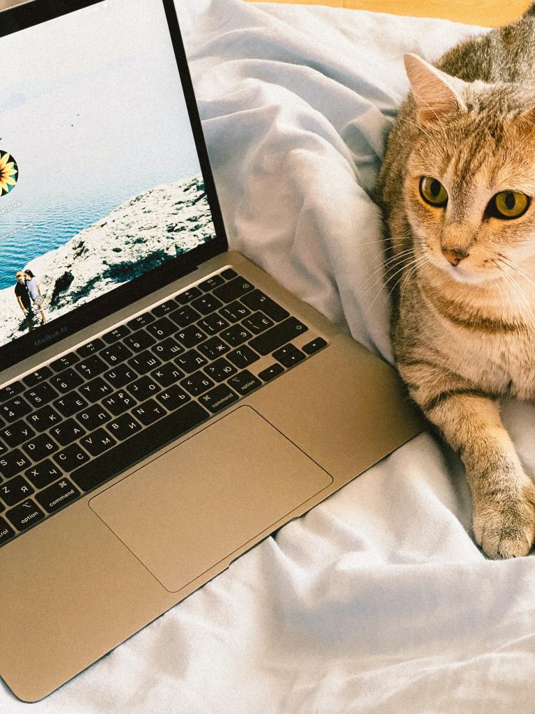 pet air purifier